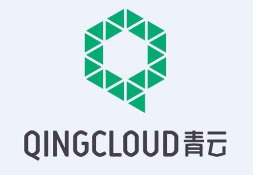 青云游戏科技有限公司,公司简介