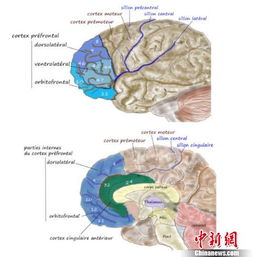 网络游戏原理,从网络架构到玩家体验的深度解析