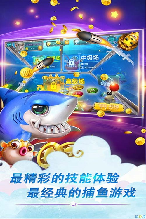 鱼丸游戏下分,捕鱼乐趣与下分挑战的完美结合