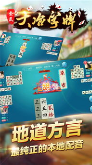 大冶字牌游戏,大冶字牌游戏体验解析