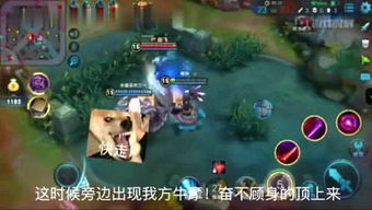 候玩的游戏,沉浸式冒险游戏体验全解析
