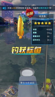 狂野钓鱼游戏,挑战钓王荣耀