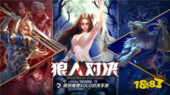 杀狼人是什么游戏,一场充满策略与推理的社交游戏之旅