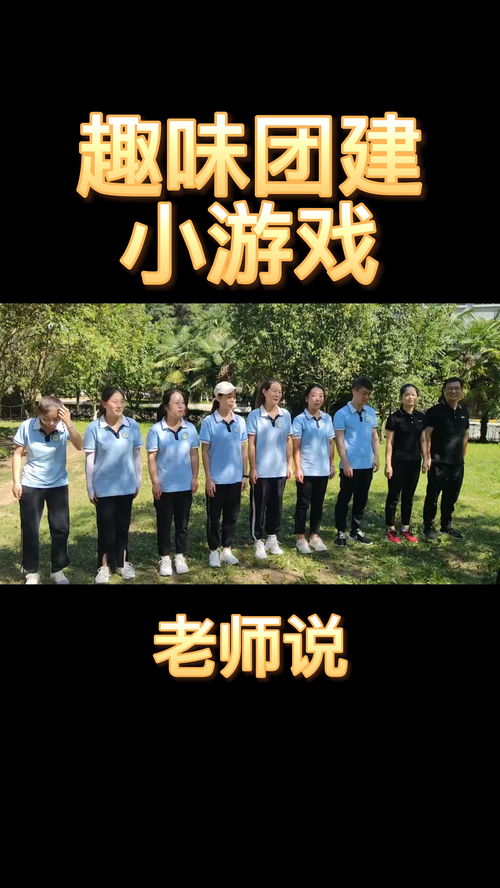 团体游戏心得,体验团队协作与自我成长
