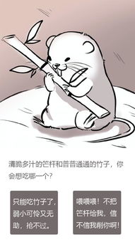 竹鼠活下去游戏,智慧与策略并存的生存冒险之旅