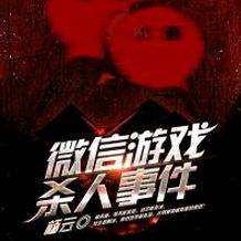 微信游戏杀人事件txt,微信游戏杀人事件深度剖析