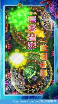 金蟾捕鱼单机游戏,尽享捕鱼乐趣