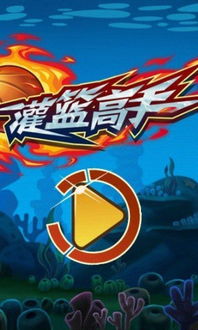 大篮游戏,互动乐趣无限