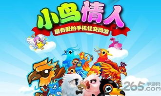 小鸟情人游戏,一场浪漫的森林奇遇记