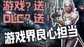 良心游戏公司,品质与责任的典范