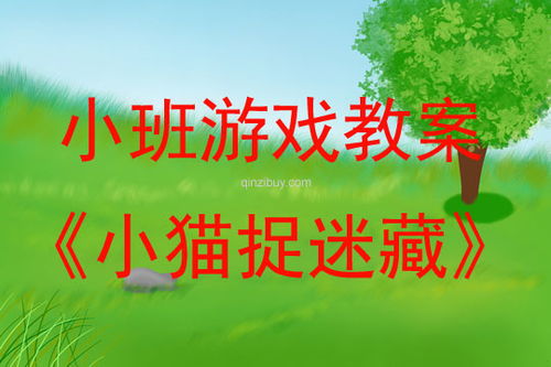 幼儿园捉迷藏游戏教案,培养幼儿观察力和团队精神