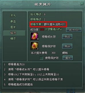 生命之轮游戏,揭秘游戏中的命运与轮回奥秘