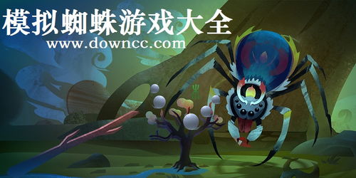 蛛蛛游戏,揭秘网络世界的神秘陷阱与生存法则