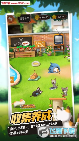 手机养猫游戏,带你体验云养猫的乐趣