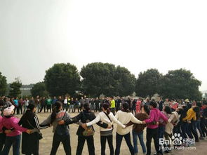 团体游戏活跃气氛,创意团体游戏激活团队活力与凝聚力