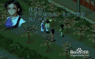 仙剑奇侠传手机单机游戏,掌上重温传奇之旅