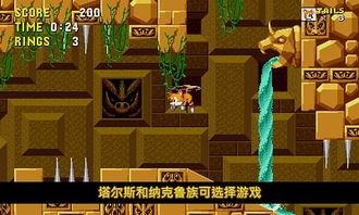 刺猬索尼克游戏视频,速度与冒险的视觉盛宴