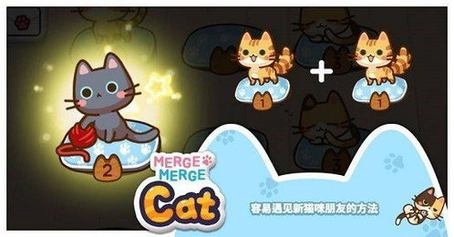 猫合成的游戏,探索各种猫合成游戏的奇幻之旅