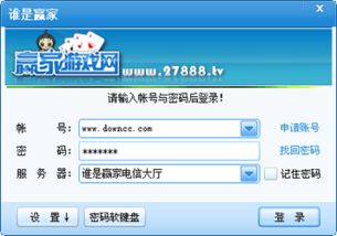 谁是赢家游戏大厅,策略与智慧的竞技场