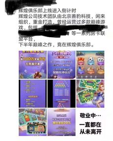 棋牌游戏数据,平台发展与玩家偏好解析”
