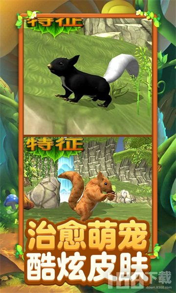 关于松鼠的游戏,探索动物主角的冒险世界