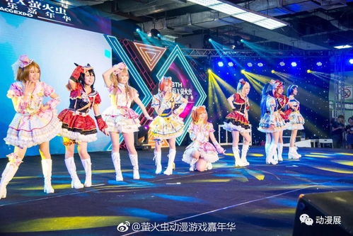 嘉年华游戏项目,探索多元嘉年华游戏项目之旅”