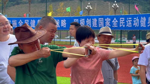 弹弓小游戏,重温童年欢乐时光