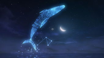星空类游戏,探索未知星空的奇幻冒险之旅