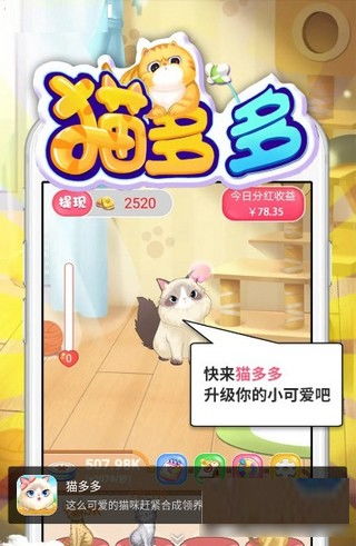 猫族游戏,探索神秘猫族世界的奇幻冒险之旅