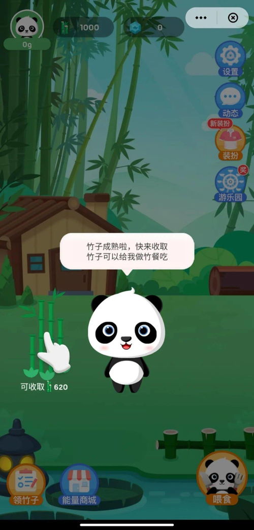熊猫竹子游戏,趣味与挑战并存的休闲体验