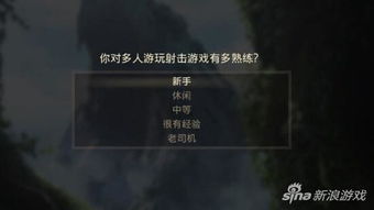 游戏字幕翻译,打造沉浸式游戏体验