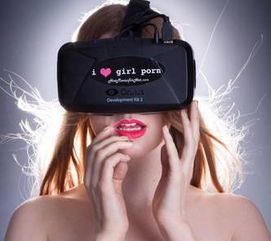 vr啪游戏,VR啪啪啪体验新境界