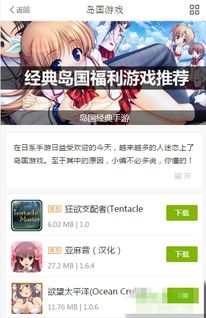 木子游戏下载,宅男必备娱乐天堂