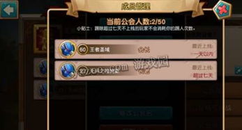 游戏公会管理,策略、团队协作与持续发展之道