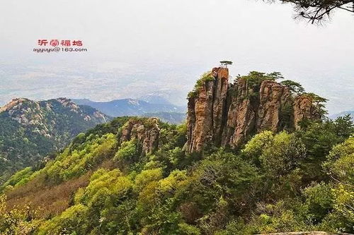 游戏窝峰