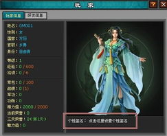 大明小游戏,穿越时空的奇幻冒险之旅