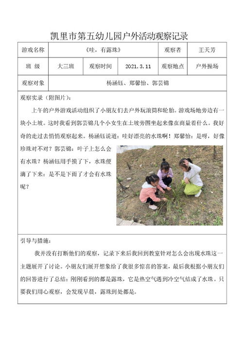 户外游戏幼儿观察记录,户外游戏中的幼儿行为观察与成长轨迹