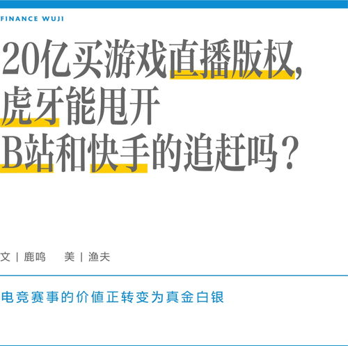 买游戏版权,从购买到运营的全方位解析