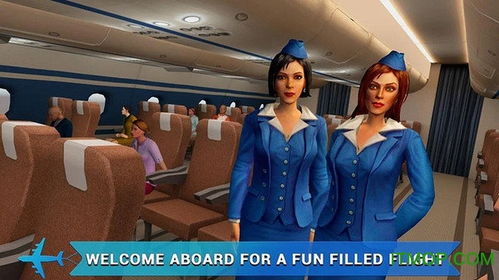 飞机空姐游戏安卓下载,畅游虚拟航空世界