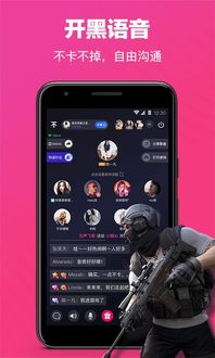 安卓手机游戏开麦,畅享实时互动新体验