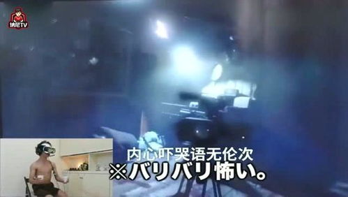 安卓端日本vr游戏,探索安卓平台上的日本VR游戏盛宴