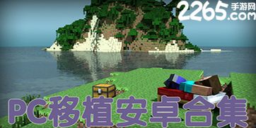 PC移植安卓游戏大作,揭秘热门大作的华丽蜕变之旅