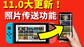 switch装修游戏安卓不用,Switch游戏安卓平台轻松体验