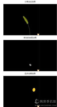 逗猫游戏安卓苹果,趣味无限！
