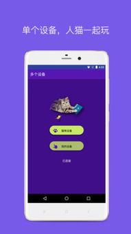 猫咪游戏app安卓免费,解锁无限欢乐时光