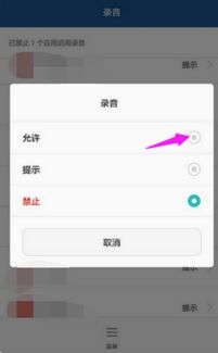 手机单声道安卓系统声音,沉浸式听觉之旅