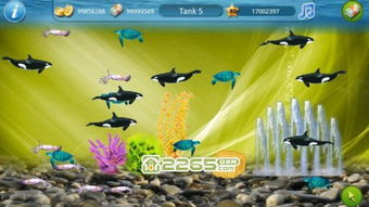 安卓水族箱游戏,畅游海洋的指尖奇遇