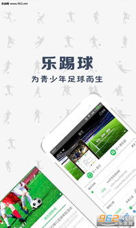 踢足球游戏app安卓,安卓平台上的足球游戏新体验