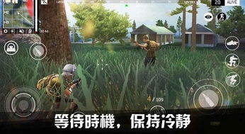 同屏生存游戏安卓,探索无尽挑战的生存之旅