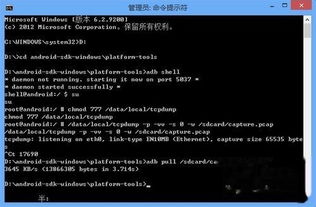 安卓抓包游戏数据,深度解析游戏数据流